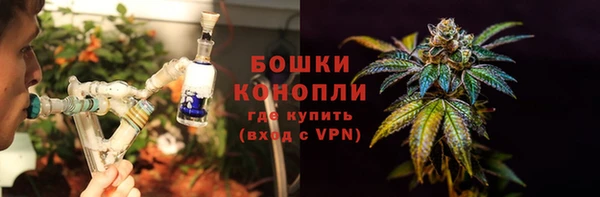 молекула духа Алзамай