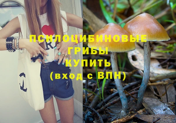 молекула духа Алзамай