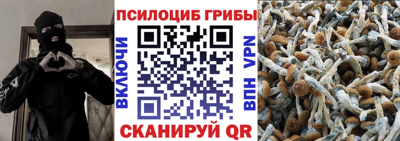 Галлюциногенные грибы MAGIC MUSHROOMS  Трубчевск 